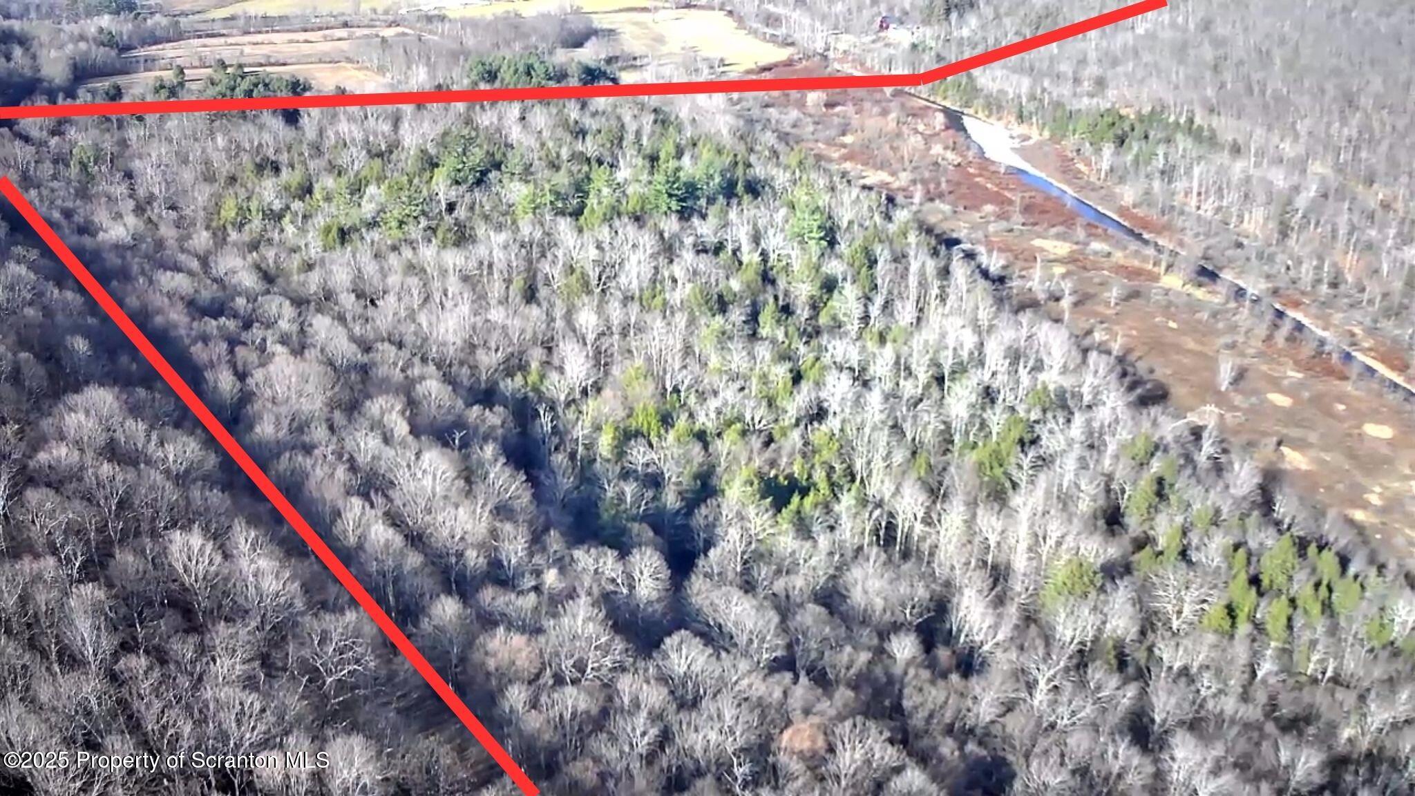 Starrucca Creek Road Starrucca, PA 18462 - Photo 20 of 20 a view of a flower in a garden