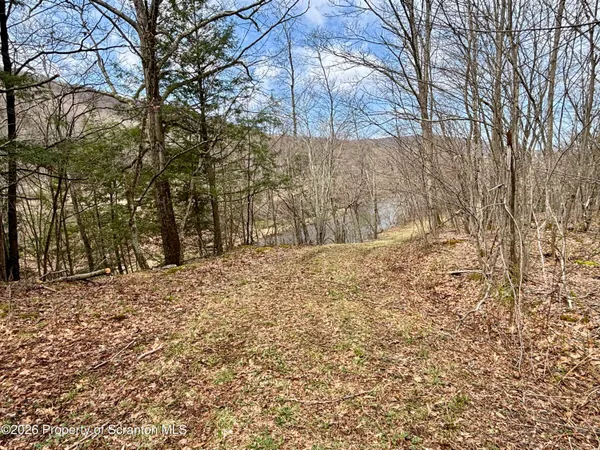 $424,000 | Starrucca Creek Road, Starrucca, PA 18462