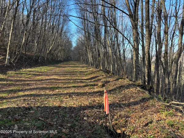 $424,000 | Starrucca Creek Road, Starrucca, PA 18462