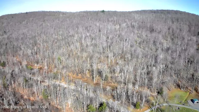 a view of a dry yard with trees in the background