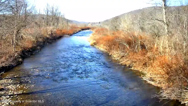 a view of a yard with trees