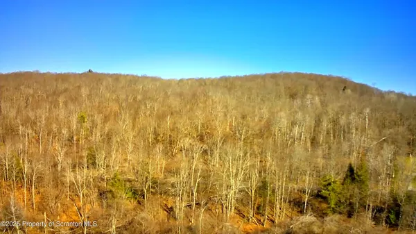 a view of mountain