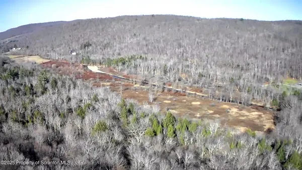 a view of a dry yard with trees