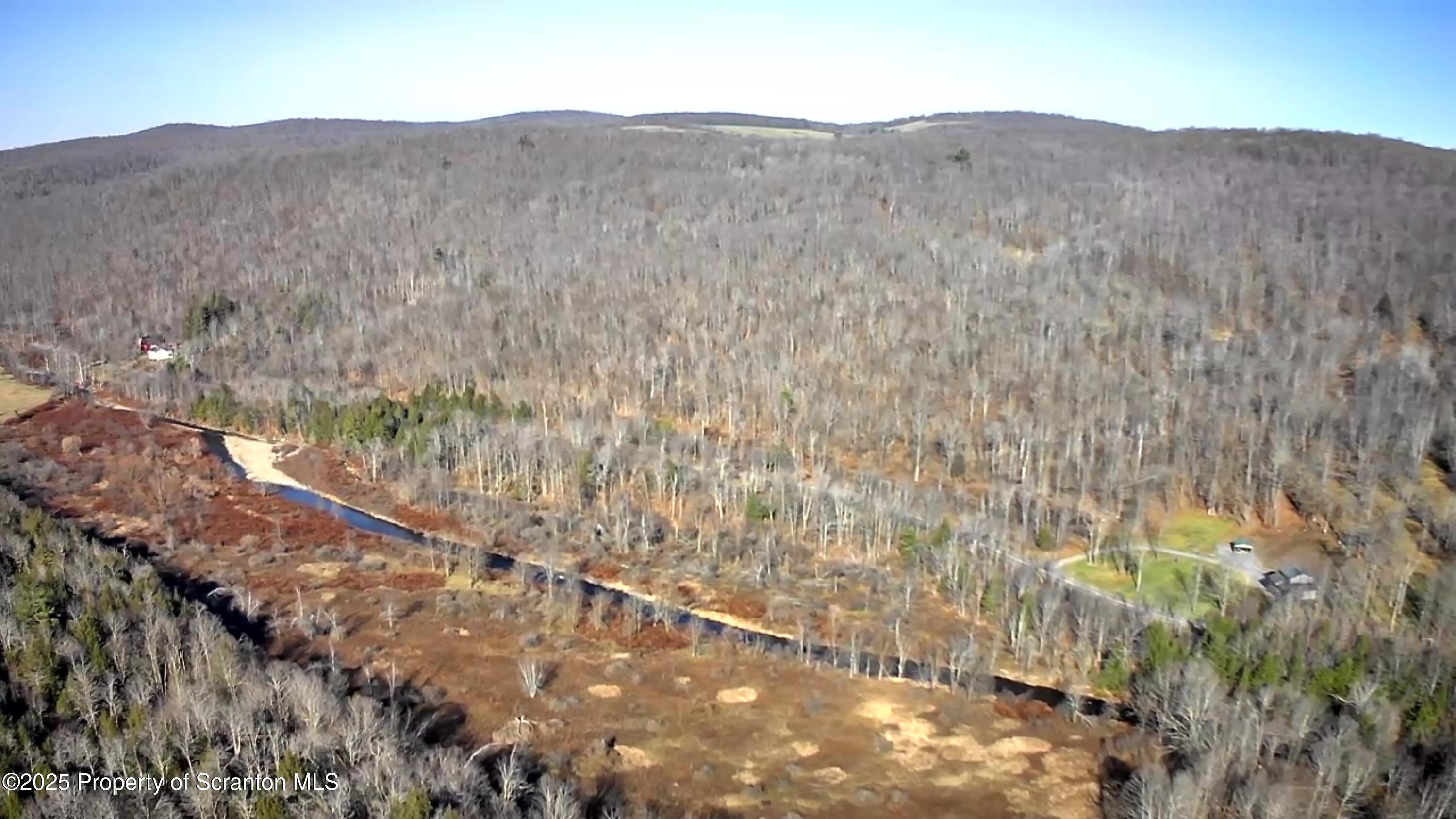 Starrucca Creek Road Starrucca, PA 18462 - Photo 10 of 20 a view of a dry yard