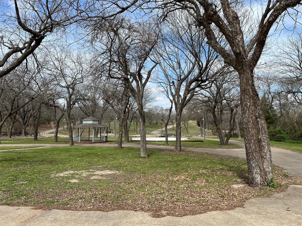5890 Montgomery Road Midlothian, TX 76065 - Photo 28 of 38 a tall tree in middle of a park