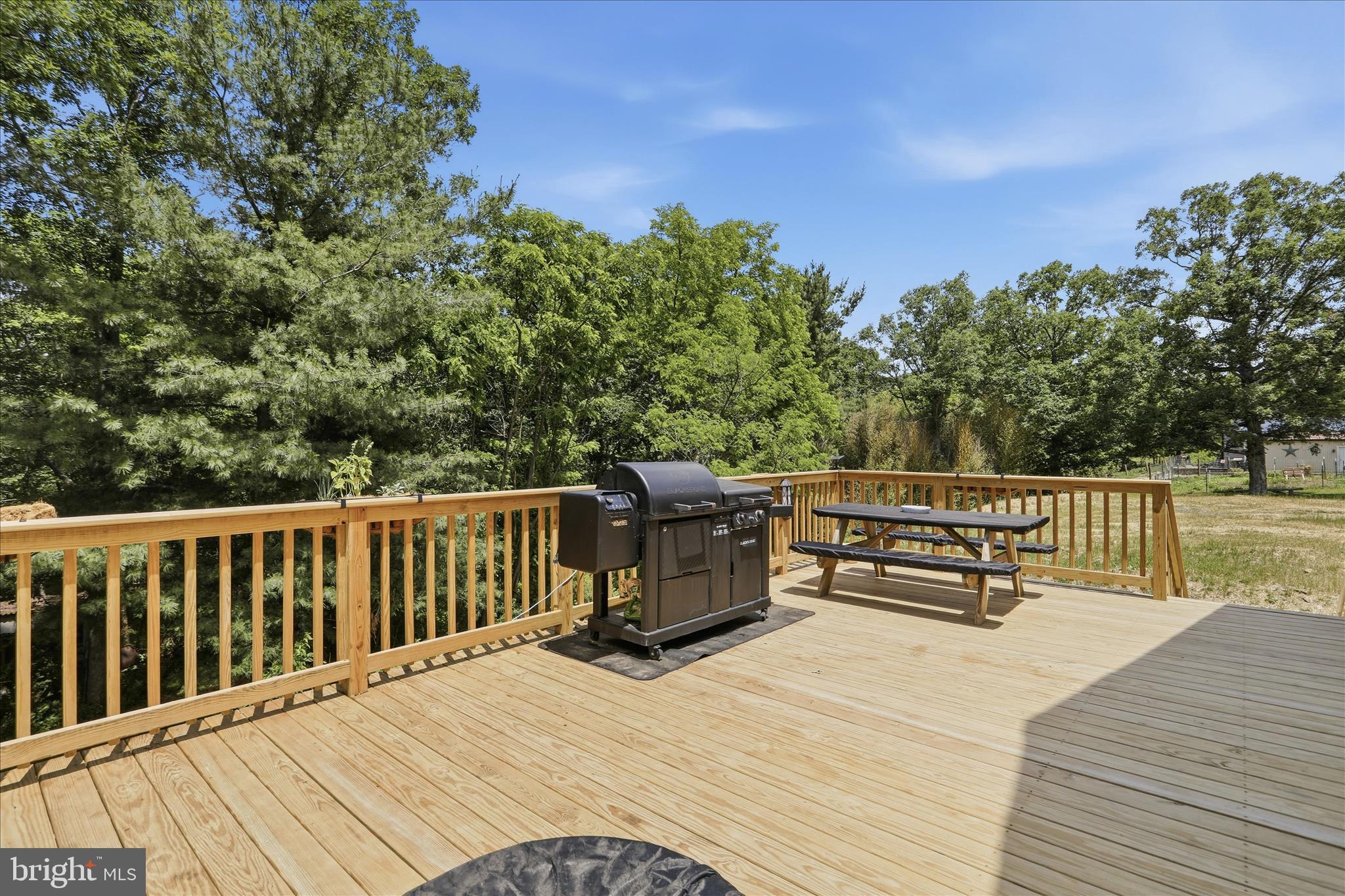 2334 Ash Ruckman Road Augusta, WV 26704 - Photo 54 of 72 Deck backs to woods