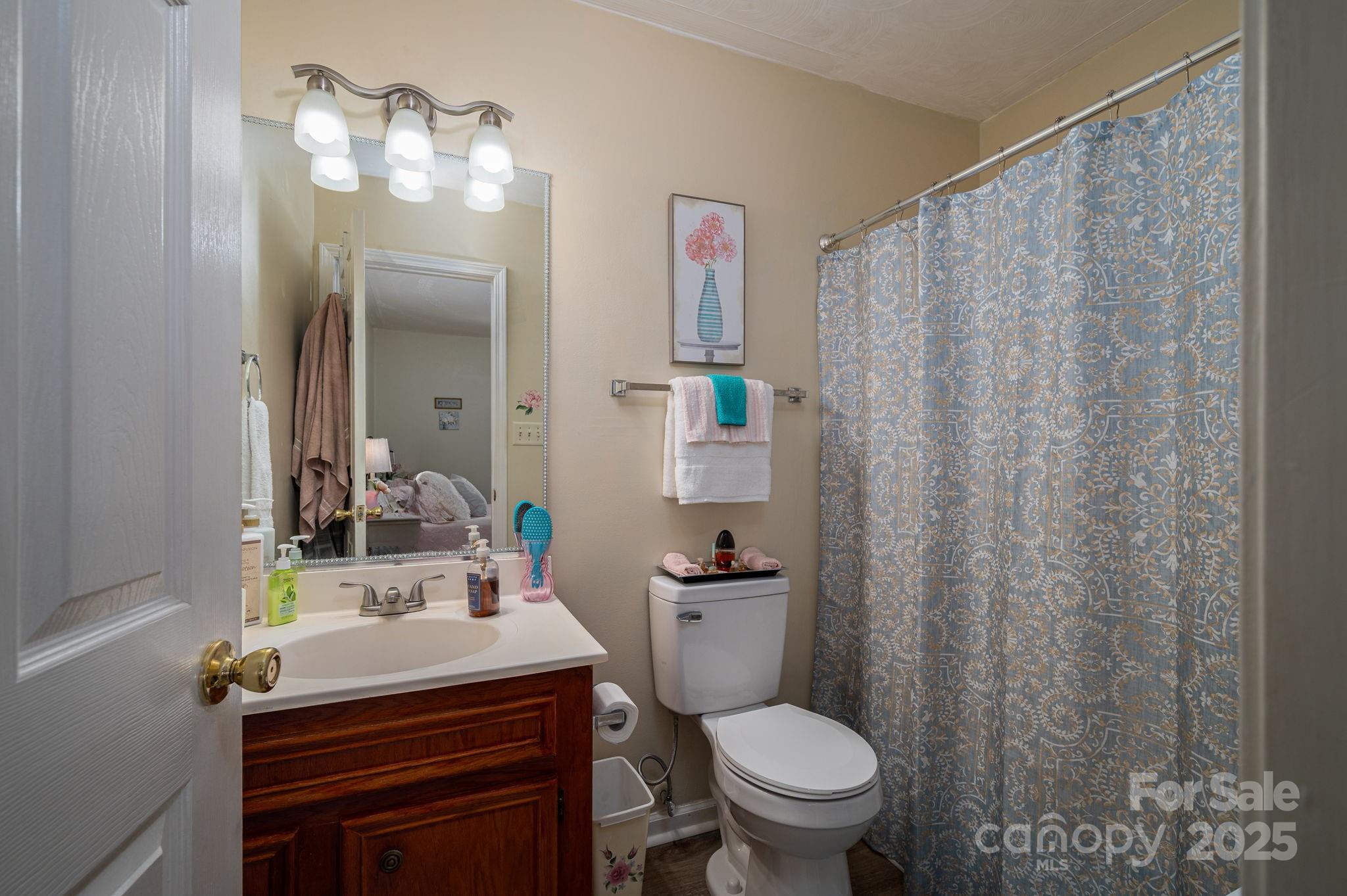 1371 Millrace Drive Conover, NC 28613 - Photo 18 of 36 a bathroom with a sink vanity mirror and toilet
