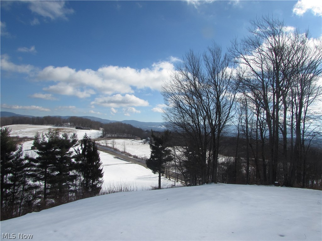 15 Ridgetop Road Monterville, WV 26282 - Photo 16 of 22