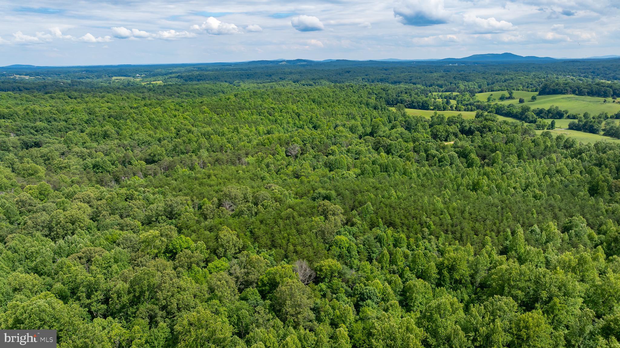 1 Slate Mills Road Boston, VA 22713 - Photo 11 of 13