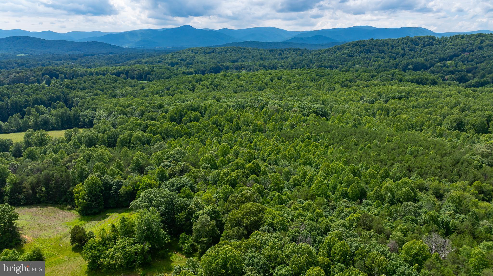 1 Slate Mills Road Boston, VA 22713 - Photo 4 of 13