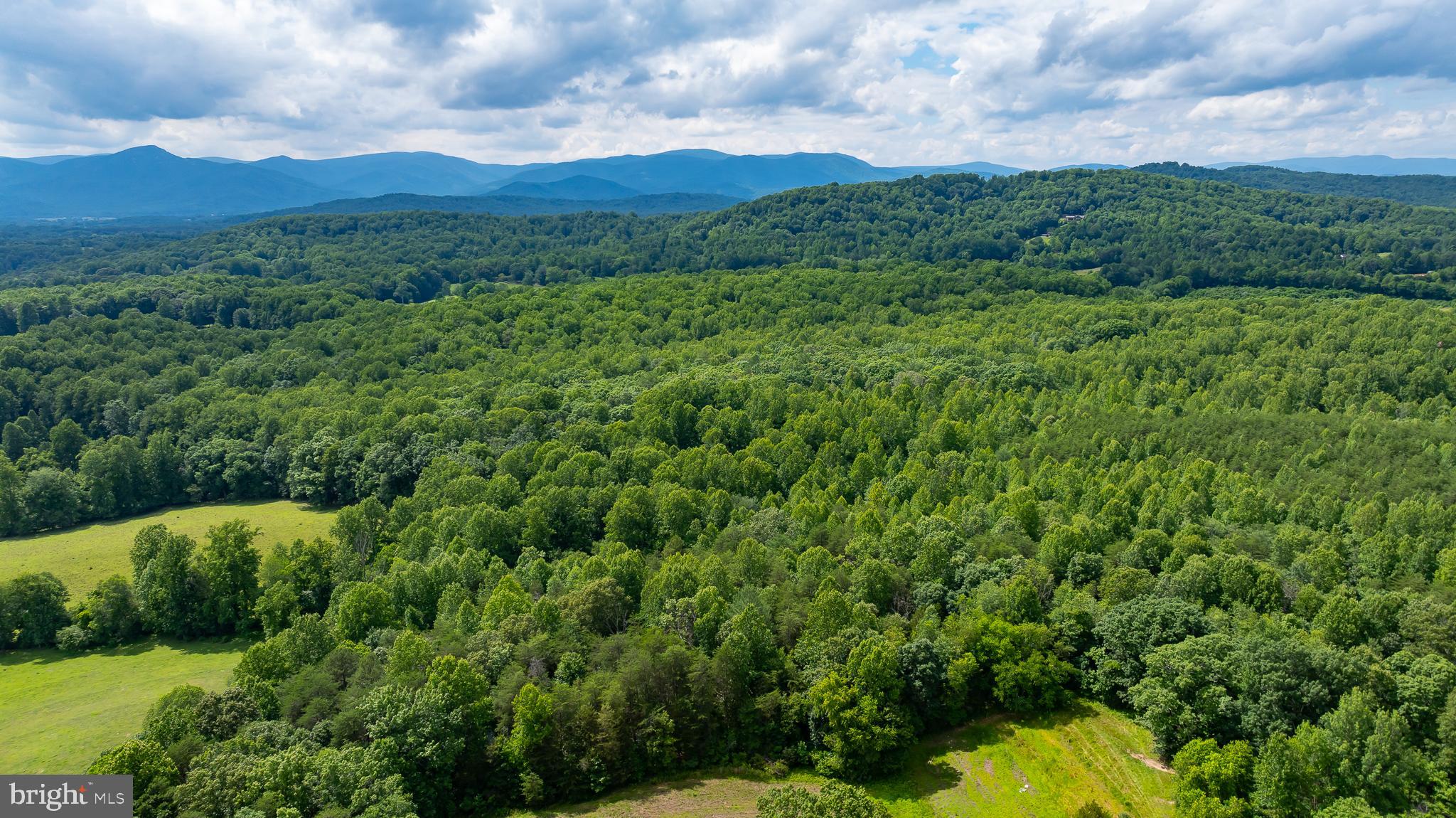 1 Slate Mills Road Boston, VA 22713 - Photo 5 of 13