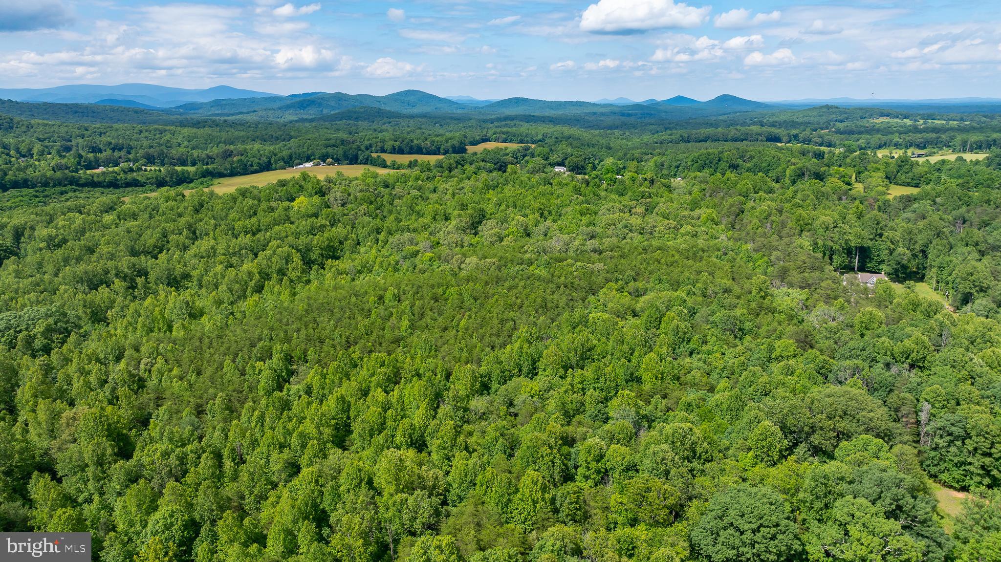 1 Slate Mills Road Boston, VA 22713 - Photo 8 of 13