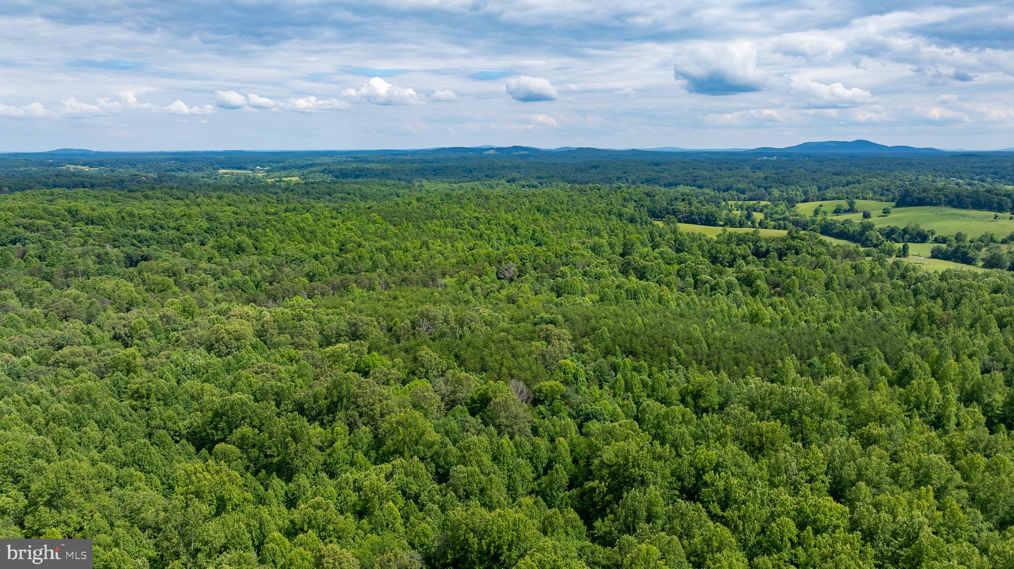 1 Slate Mills Road Boston, VA 22713 - Photo 10 of 13