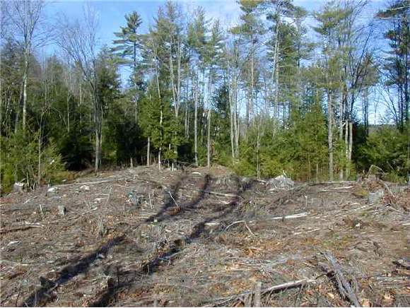 30-6 Call Road Webster, NH 03303 - Photo 1 of 1
