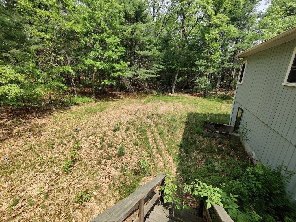 439 Massapoag Avenue Sharon, MA 02067 - Photo 16 of 22 a view of a yard with plants