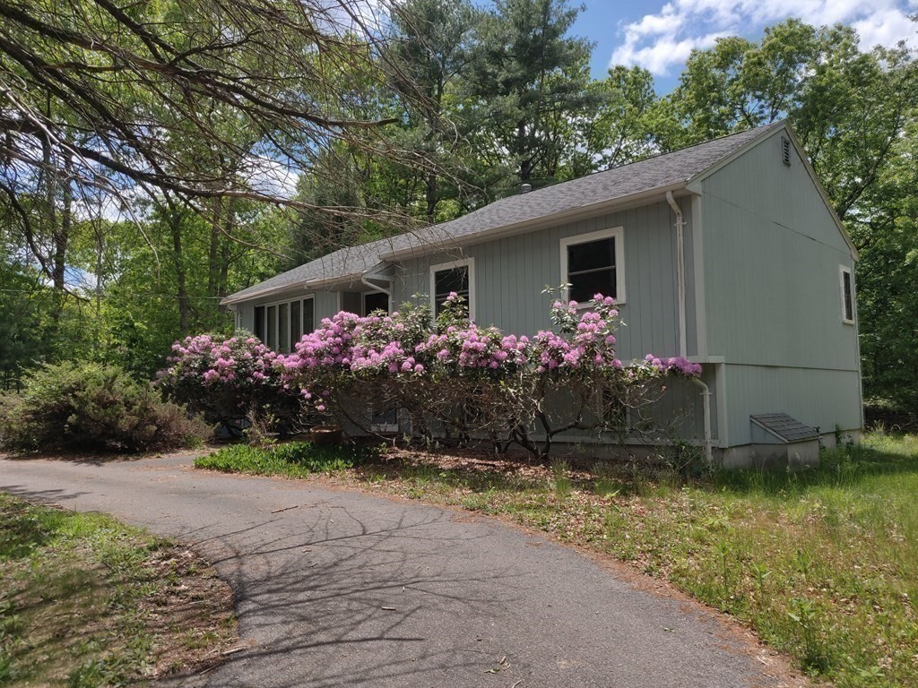 439 Massapoag Avenue Sharon, MA 02067 - Photo 17 of 22 a view of a house with garden