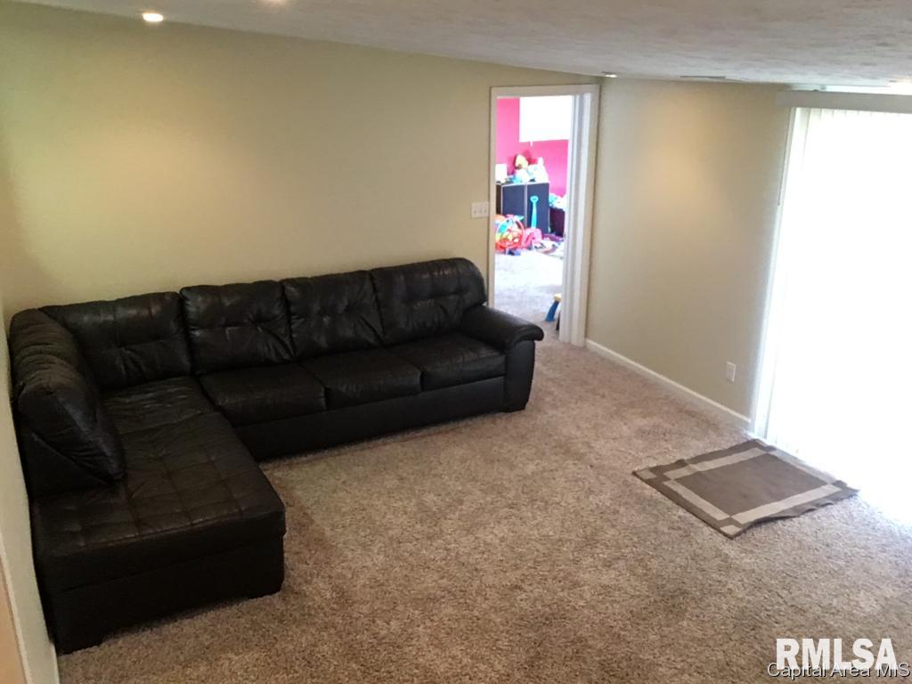 1919 East Hood Street Springfield, IL 62703 - Photo 4 of 20