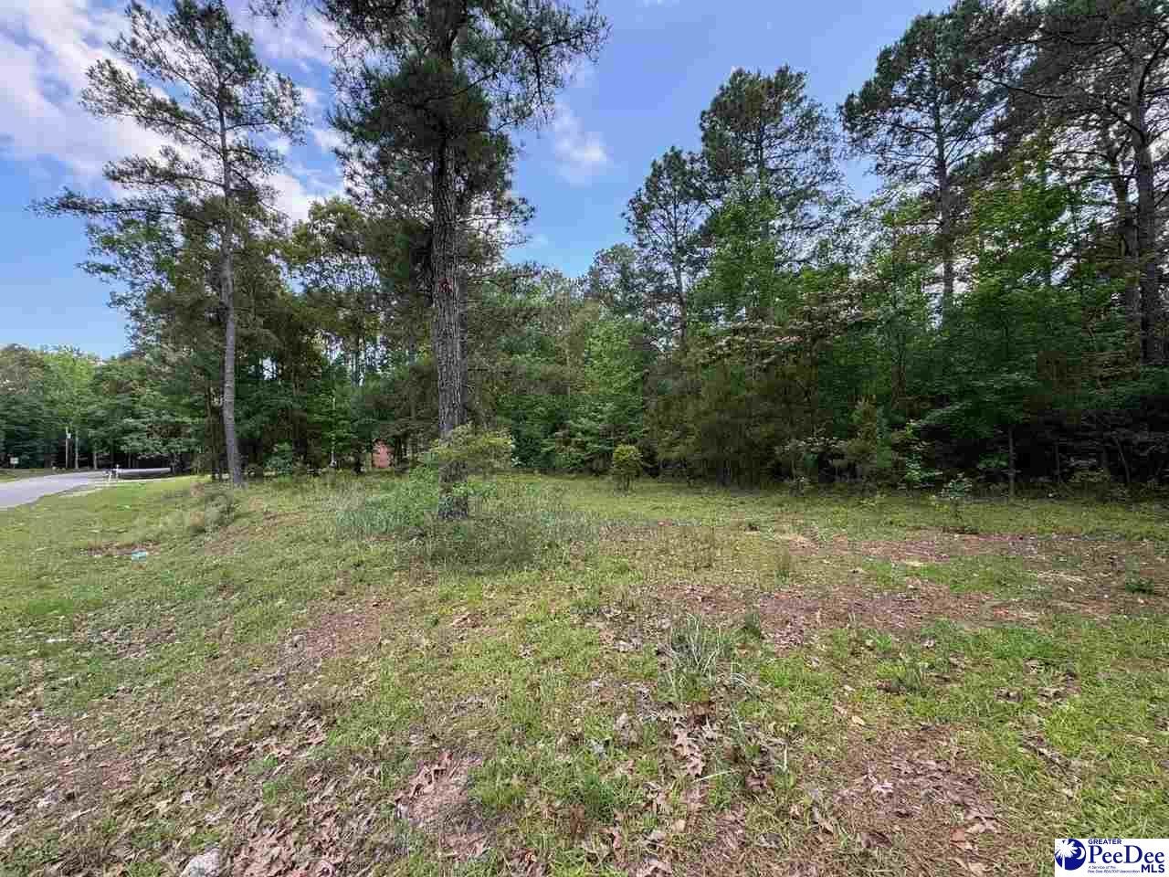 2139 Moccasin Bluff Road Hamer, SC 29547 - Photo 6 of 10 Gallery Image 6