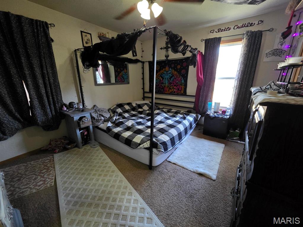 17160 State Rte BB Licking, MO 65542 - Photo 13 of 37