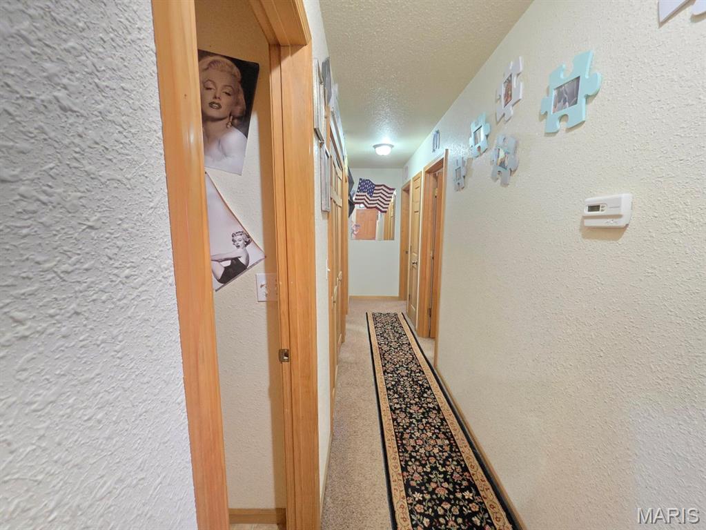 17160 State Rte BB Licking, MO 65542 - Photo 19 of 37