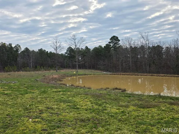 $325,000 | 17160 State Rte BB, Licking, MO 65542