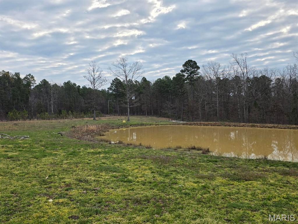 17160 State Rte BB Licking, MO 65542 - Photo 31 of 37