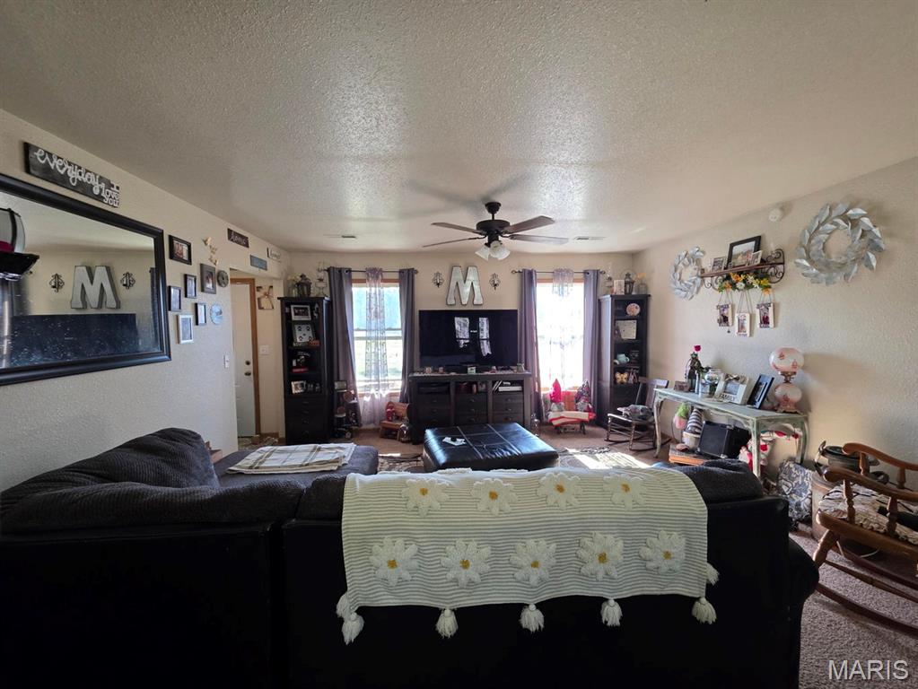 17160 State Rte BB Licking, MO 65542 - Photo 37 of 37