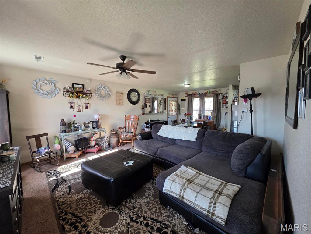 17160 State Rte BB Licking, MO 65542 - Photo 5 of 37