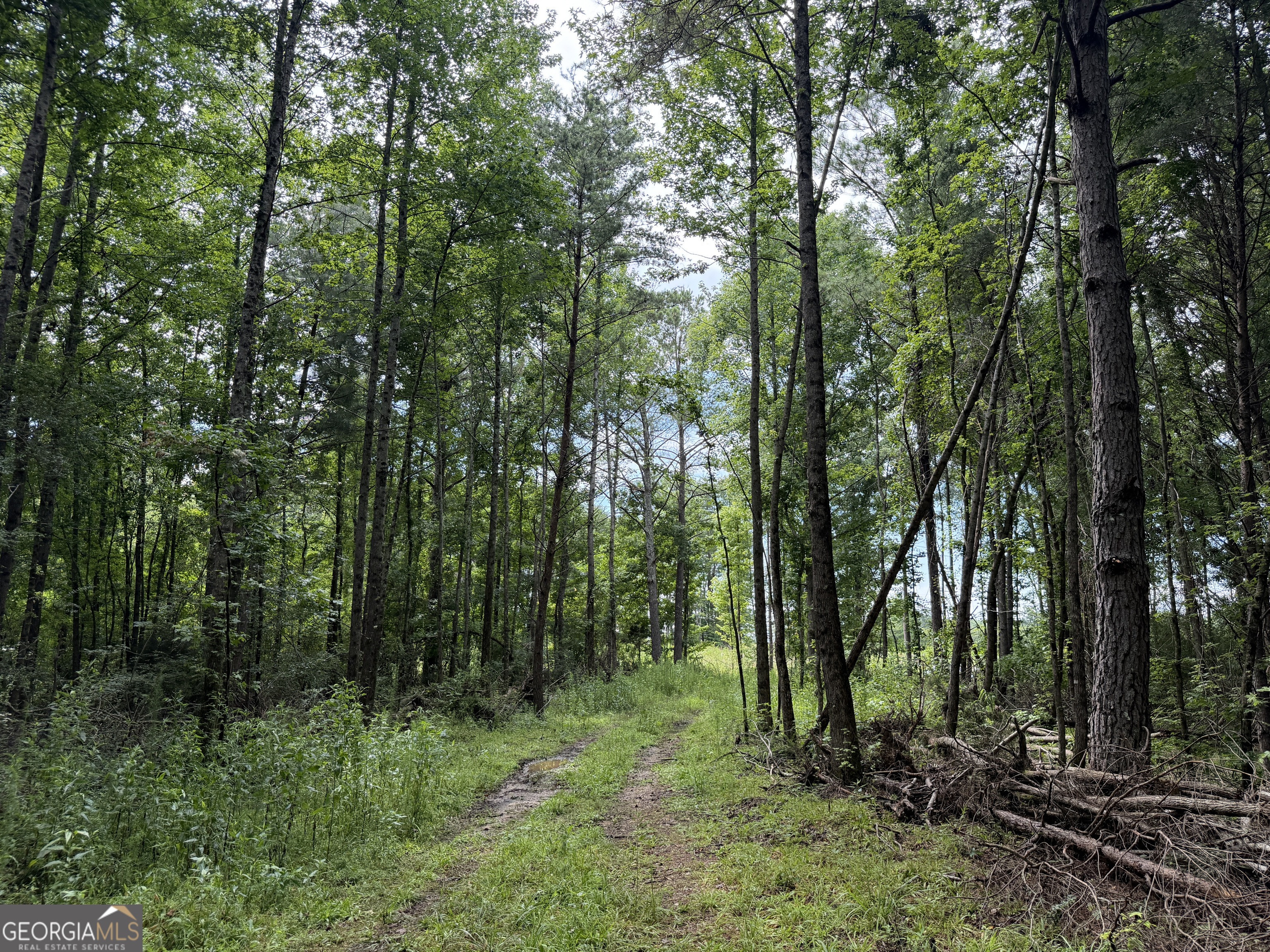 4 County Rd 445 Haleyville, AL 35565 - Photo 9 of 11