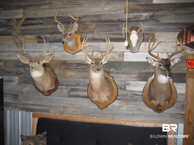 5480 Mobile Avenue Orange Beach, AL 36561 - Photo 19 of 22 Man Cave