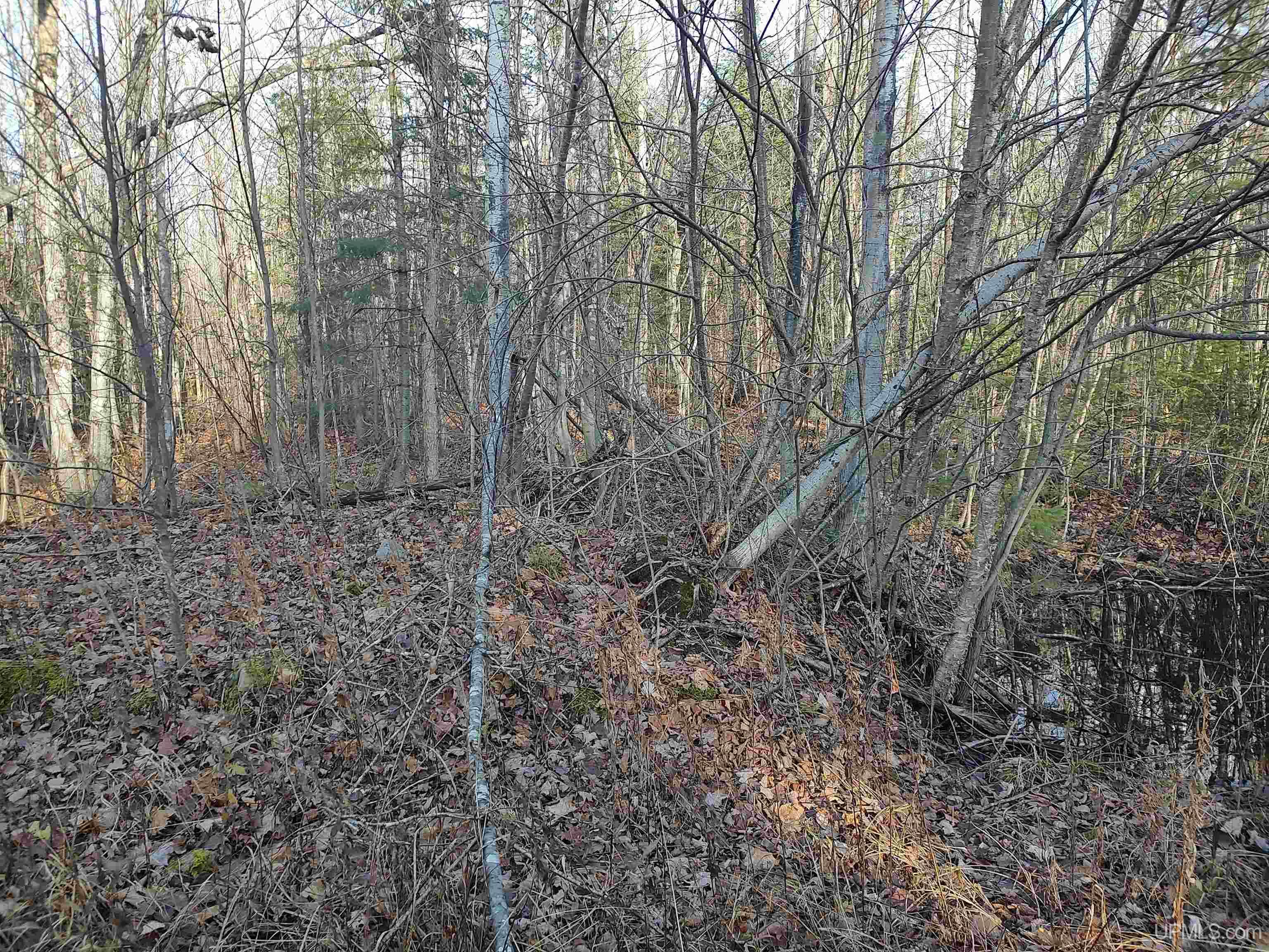 Tbd Billie Helmer Road Deerton, MI 49822 - Photo 13 of 20