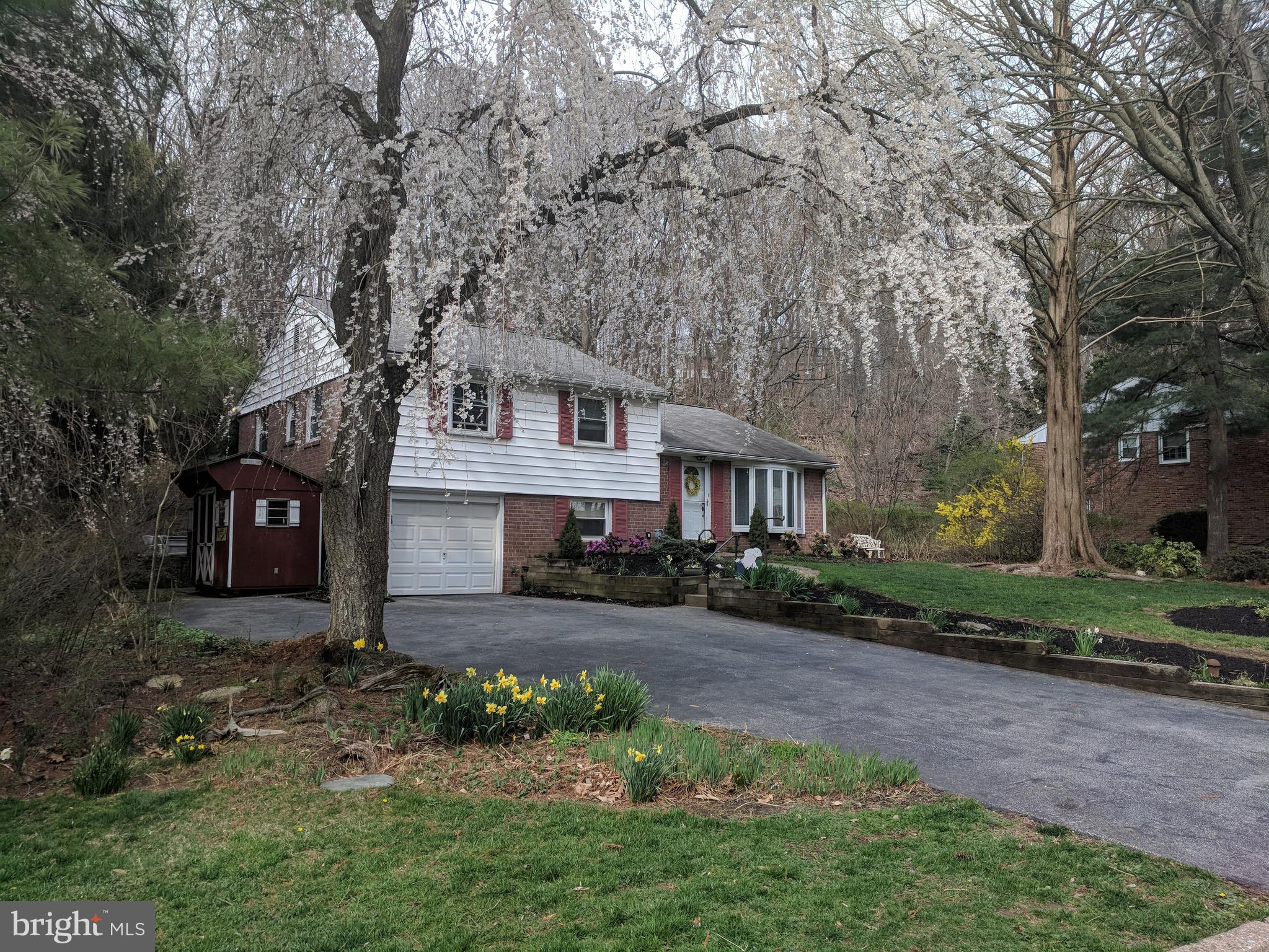 618 Brookwood Road Wayne, PA 19087 - Photo 4 of 35 Early Spring - beautiful trees in bloom!