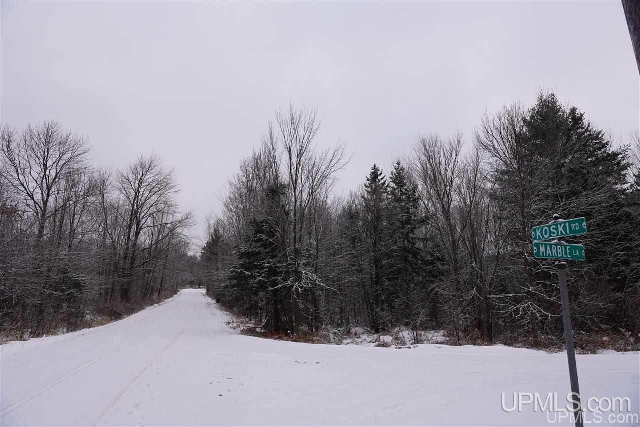 Tbd Koski Road, Unit 1 Ramsay, MI 49959 - Photo 1 of 7
