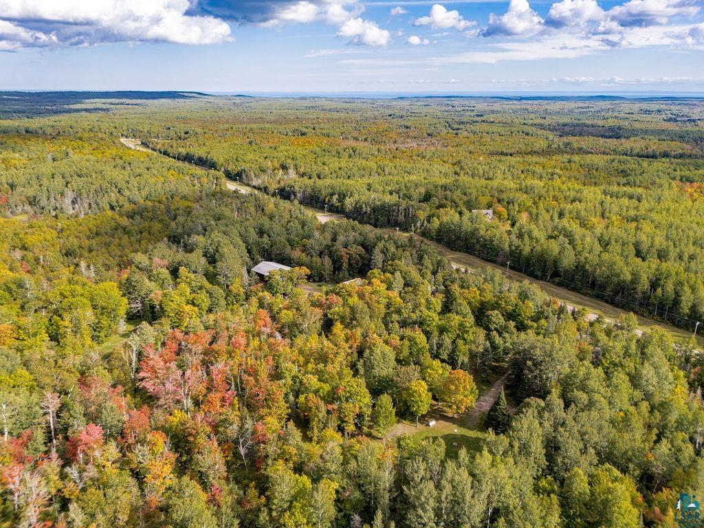 1159 Wales Road Two Harbors, MN 55616 - Photo 28 of 29 Expansive wooded landscape featuring a residential structure and partial road access