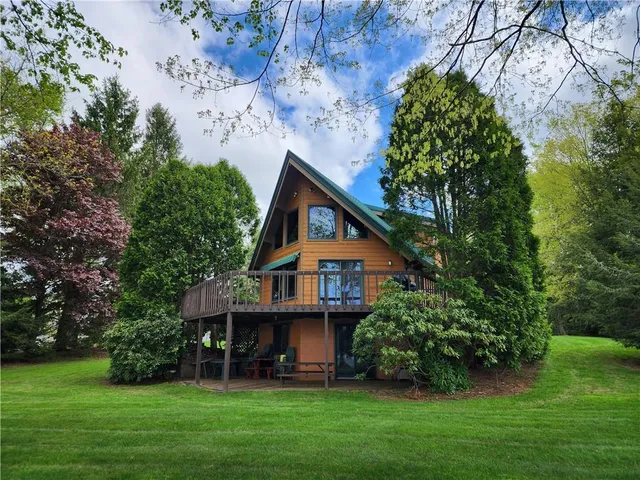 a view of a garden with a tree