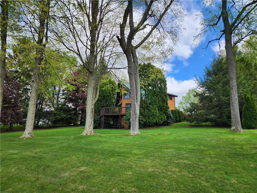 374 Latonka Drive Mercer, PA 16137 - Photo 16 of 50 a view of a garden with a tree