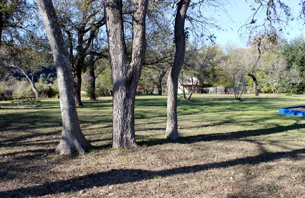 3111 Fritz Hughes Park Road Austin, TX 78732 - Photo 8 of 11 a view of a yard with a tree
