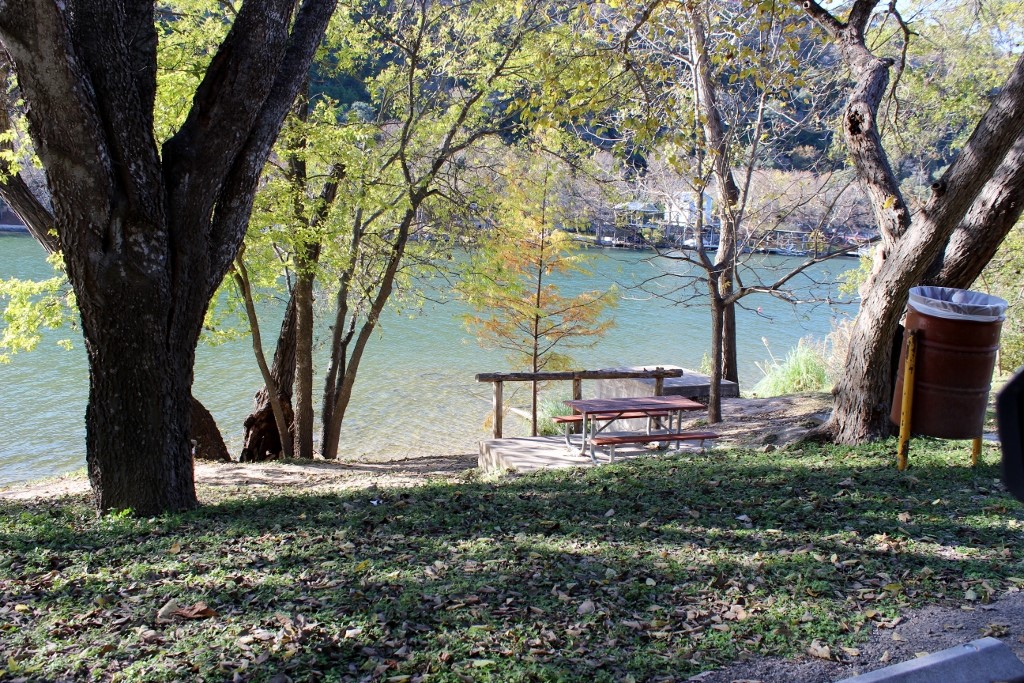 3111 Fritz Hughes Park Road Austin, TX 78732 - Photo 10 of 11 a backyard of a house with lots of green space