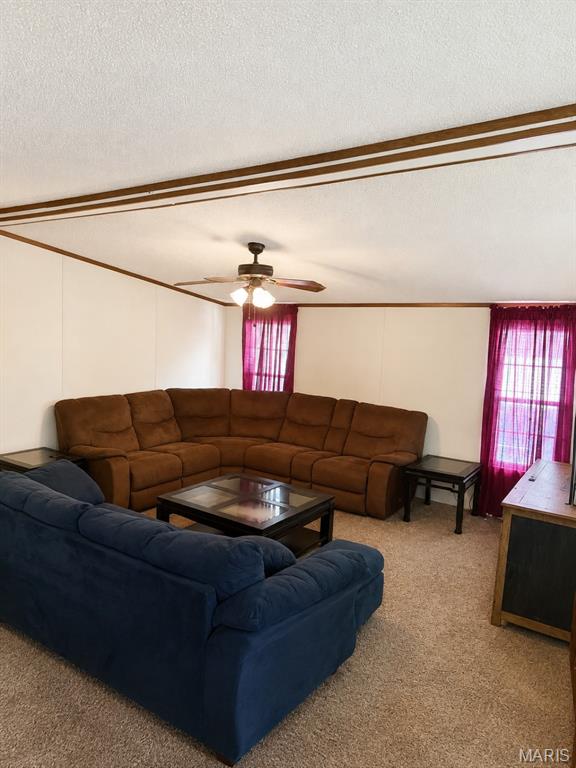 3819 Primo Road Festus, MO 63028 - Photo 3 of 11 Gallery Image 3