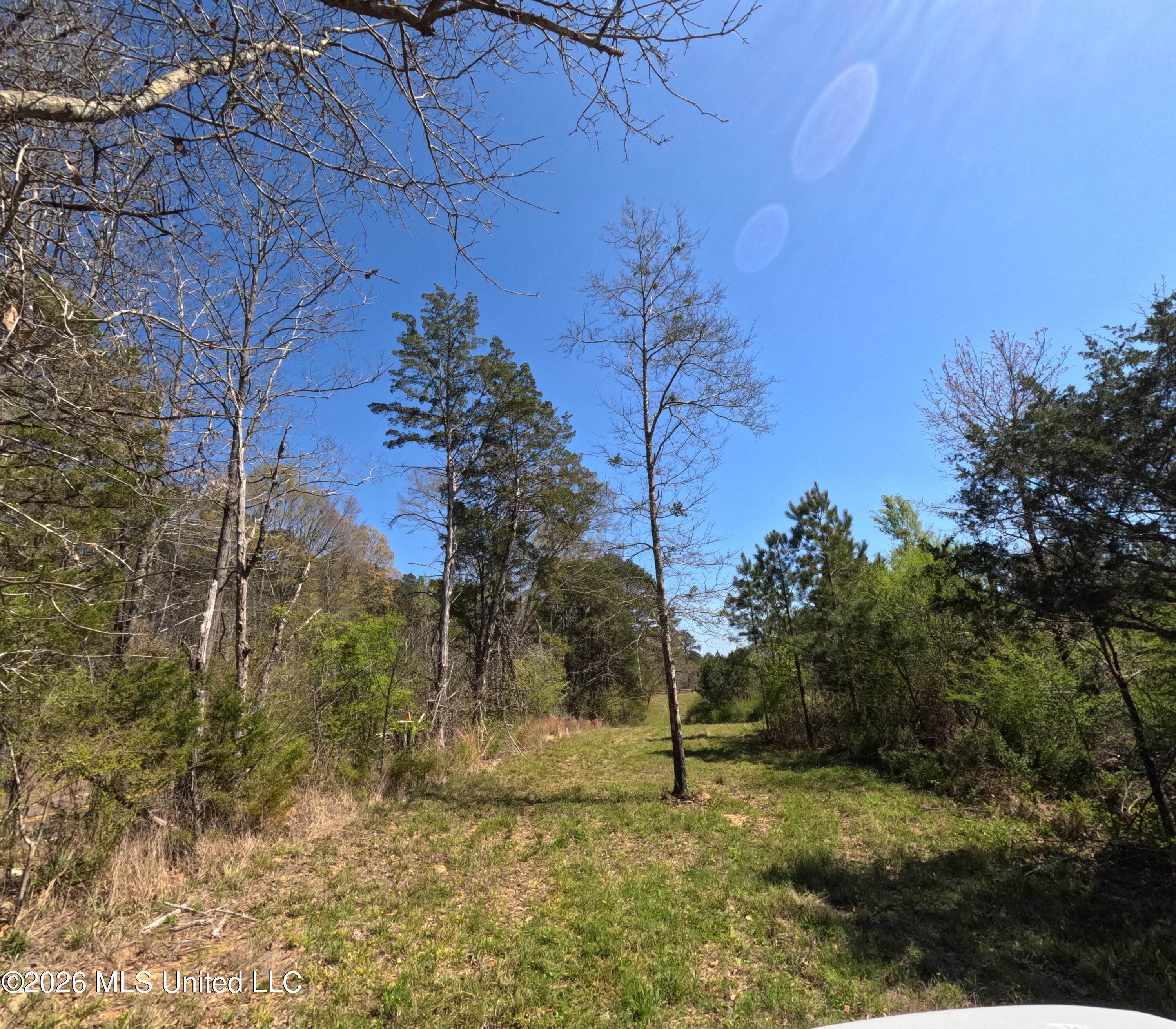 17565 Ms-27 Utica, MS 39175 - Photo 37 of 44 GOPR2159