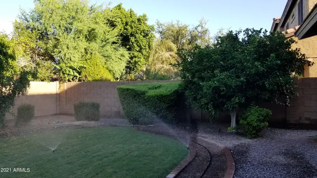a view of a backyard