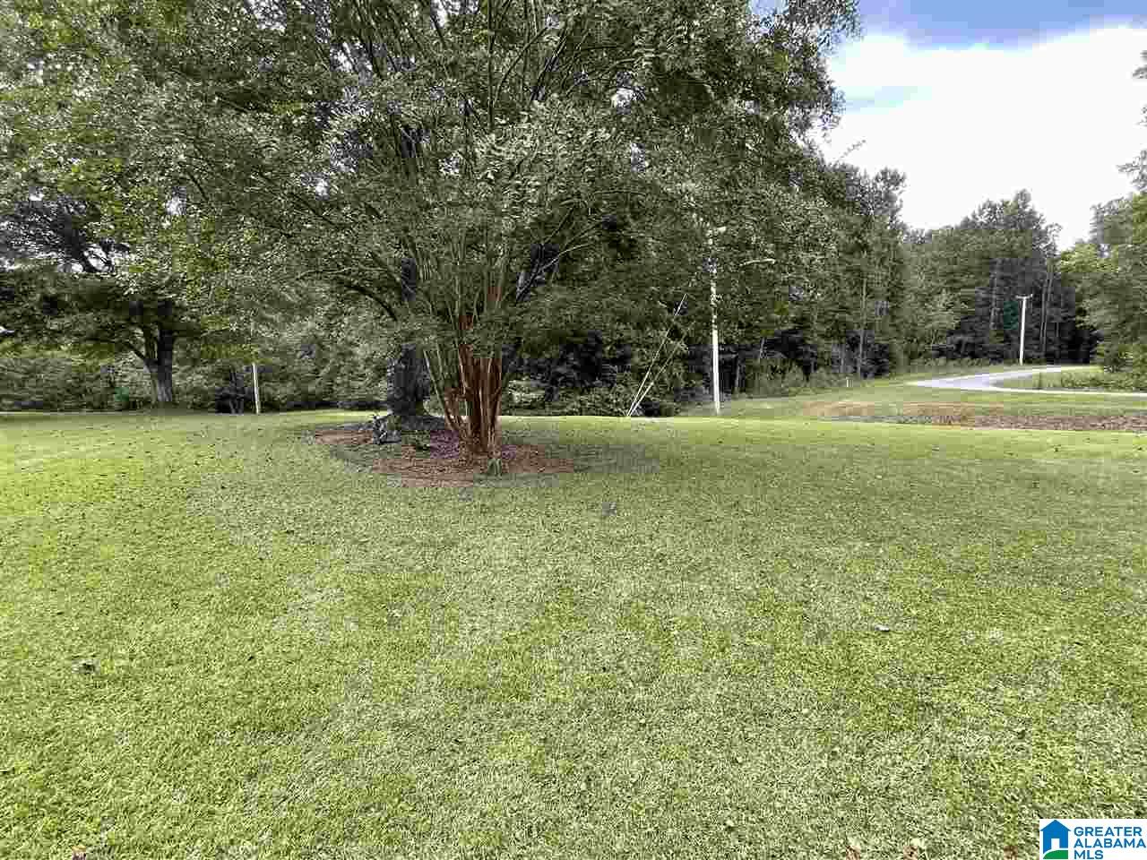 200 Mae Street Clanton, AL 35045 - Photo 5 of 34