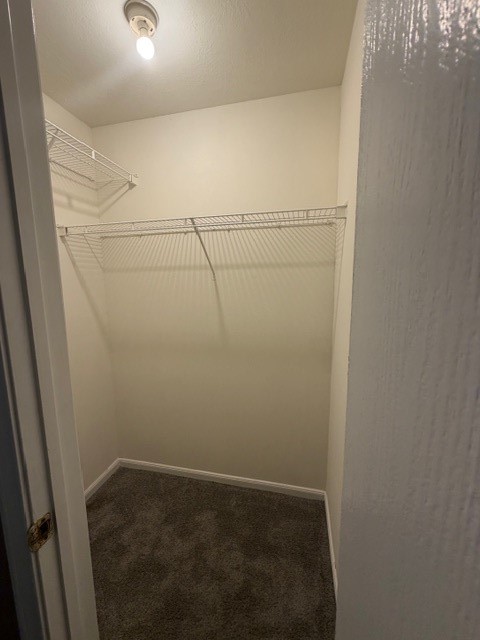 8626 Valley Crest Lane Houston, TX 77075 - Photo 11 of 14 a view of a room with racks on the wall