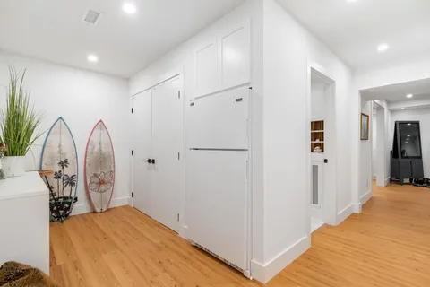 a view of a yard with plants and large trees