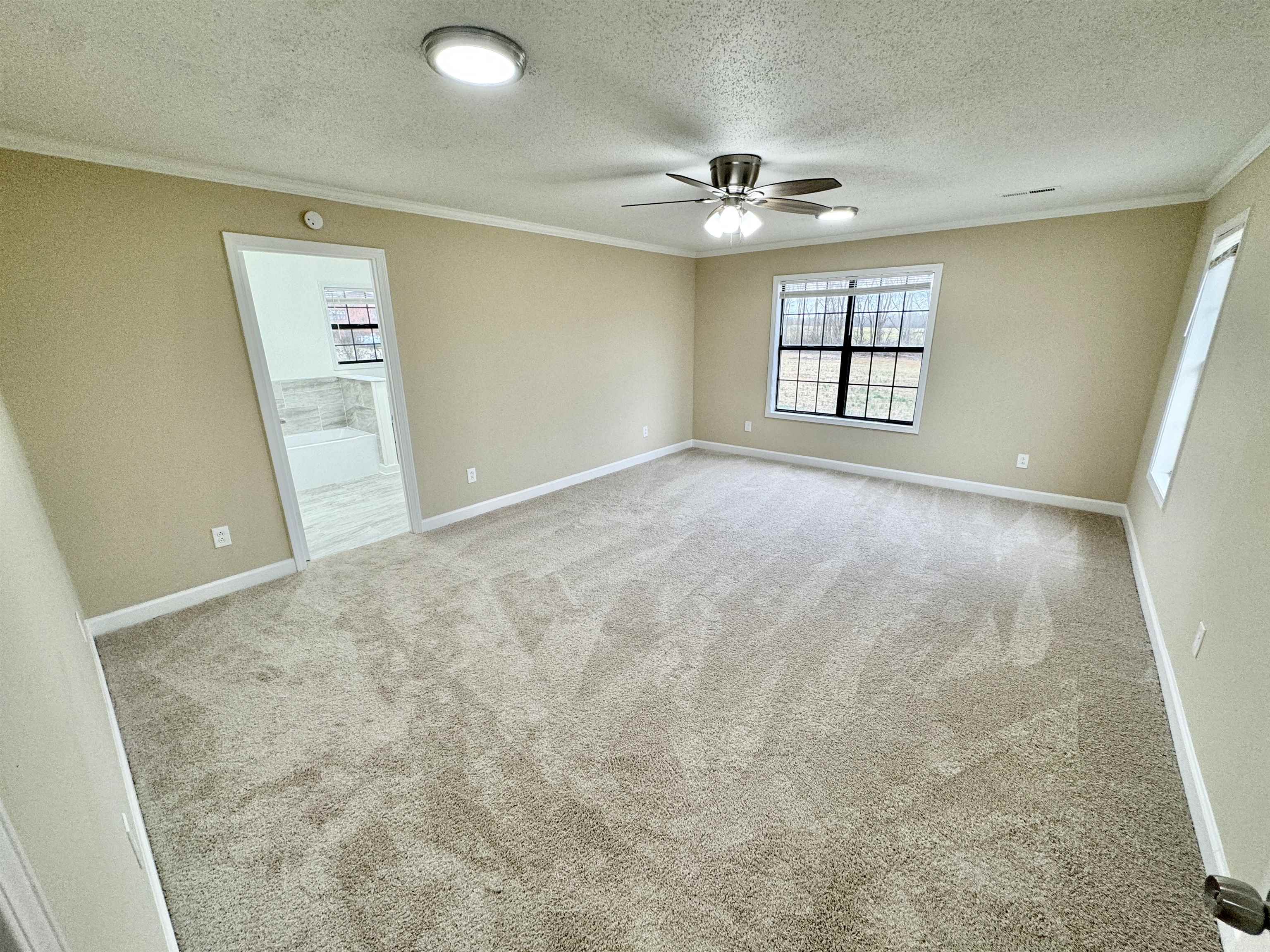 6889 Fulton Road Brownsville, TN 38012 - Photo 16 of 40 Unfurnished room featuring crown molding, light colored carpet, a textured ceiling, and ceiling fan