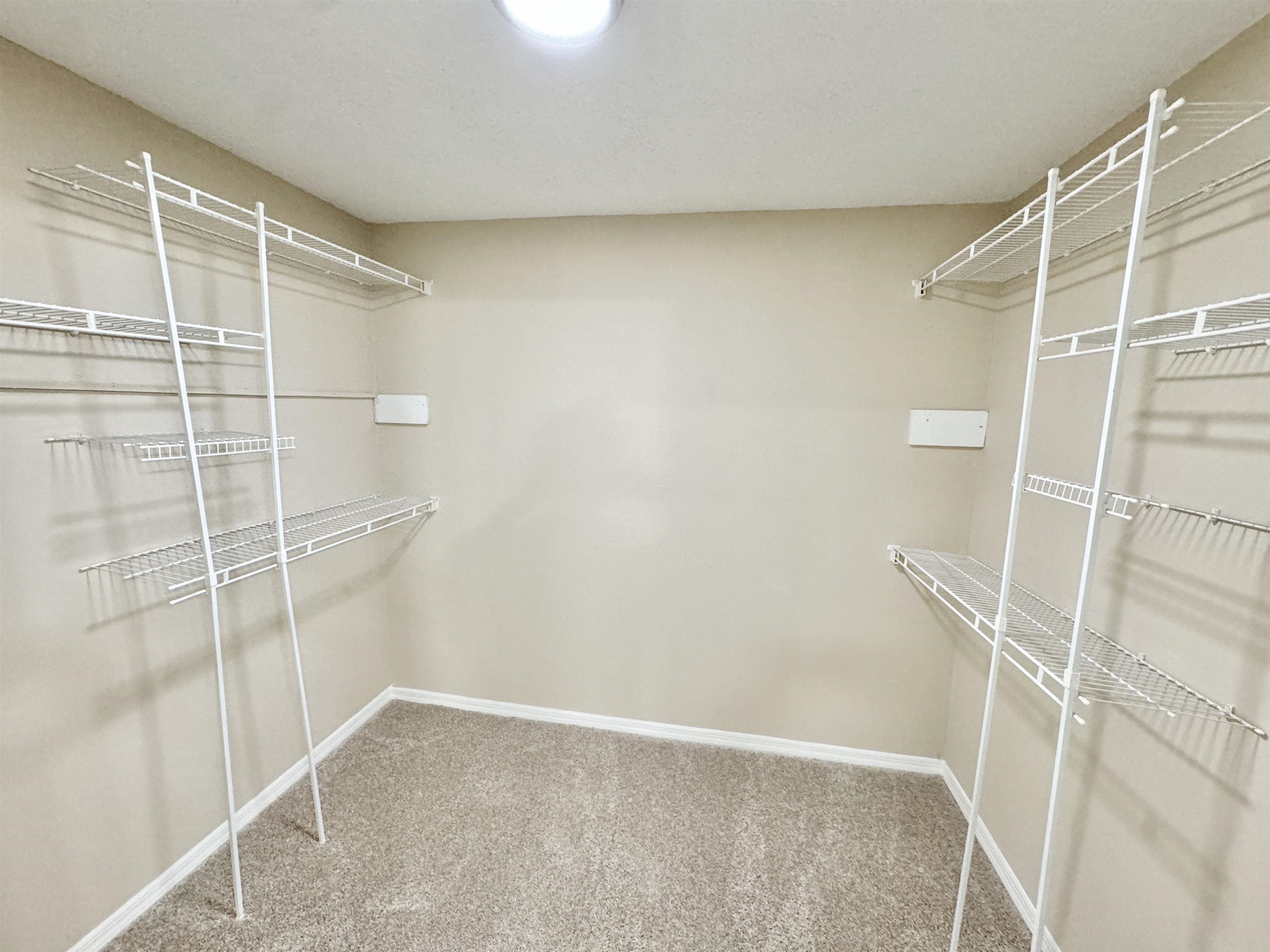 6889 Fulton Road Brownsville, TN 38012 - Photo 17 of 40 Spacious closet with carpet