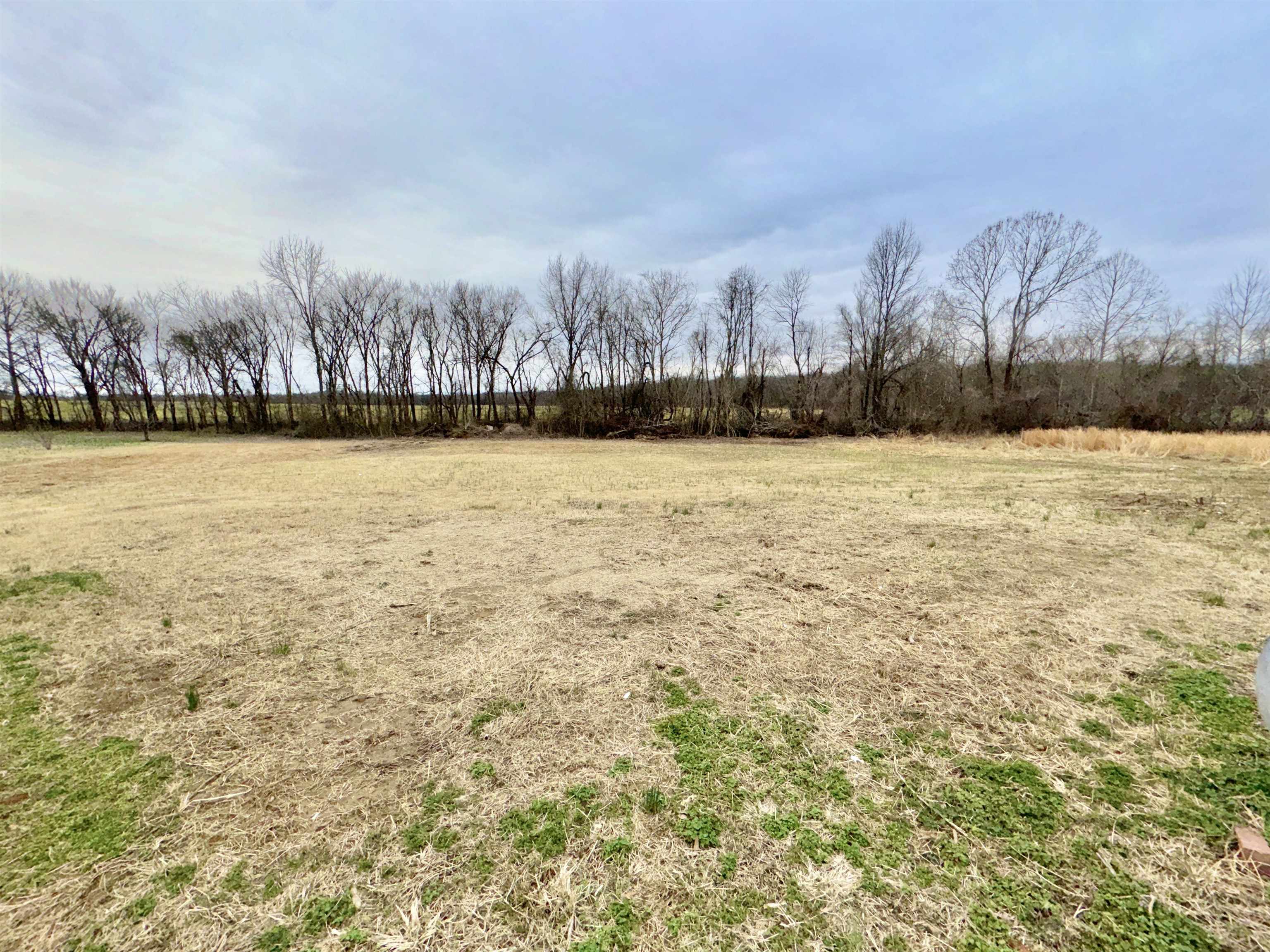 6889 Fulton Road Brownsville, TN 38012 - Photo 37 of 40 View of yard featuring a rural view