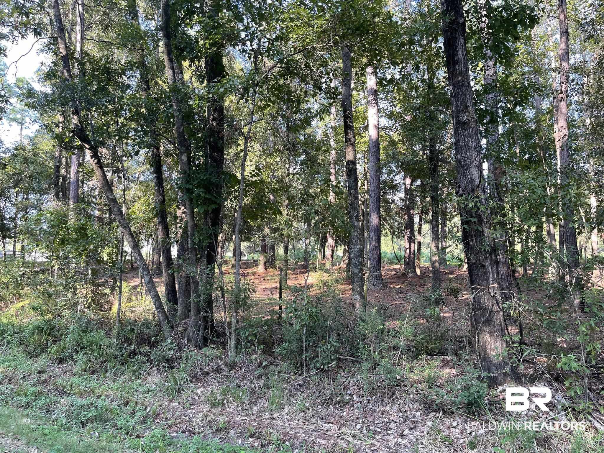 0 Rockhill Road Bay Minette, AL 36507 - Photo 29 of 32