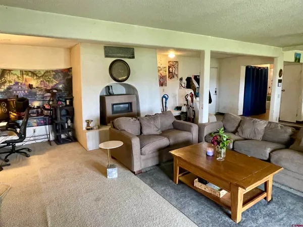 a living room with furniture a rug and a large window
