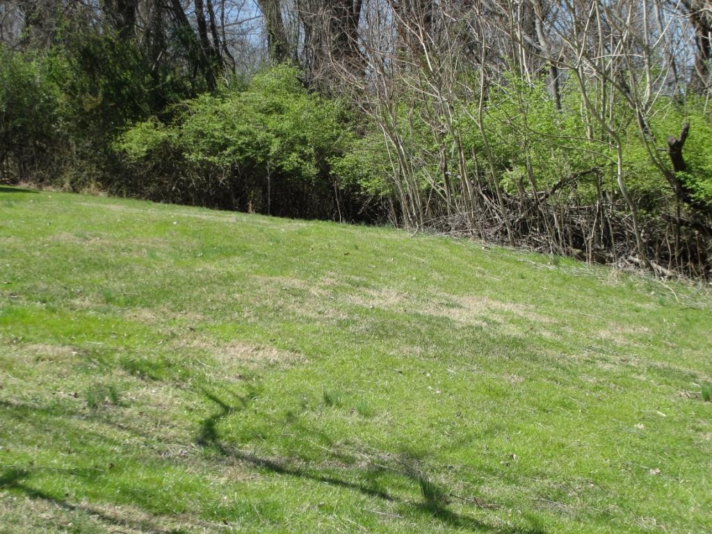 319 Edgefield Road Piney Flats, TN 37686 - Photo 28 of 30 Photo 28